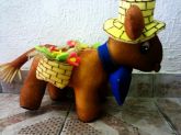 Burrinho