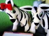 Casal de zebras